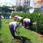 Park ve Yeşil Alan Bakımı