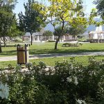 Park ve Yeşil Alan Bakımı