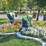 Park ve Yeşil Alan Bakımı