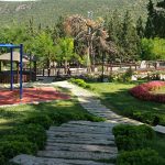 Park ve Yeşil Alan Bakımı